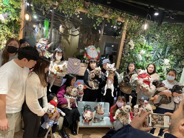 森林小徑精誠店对宠物超友善