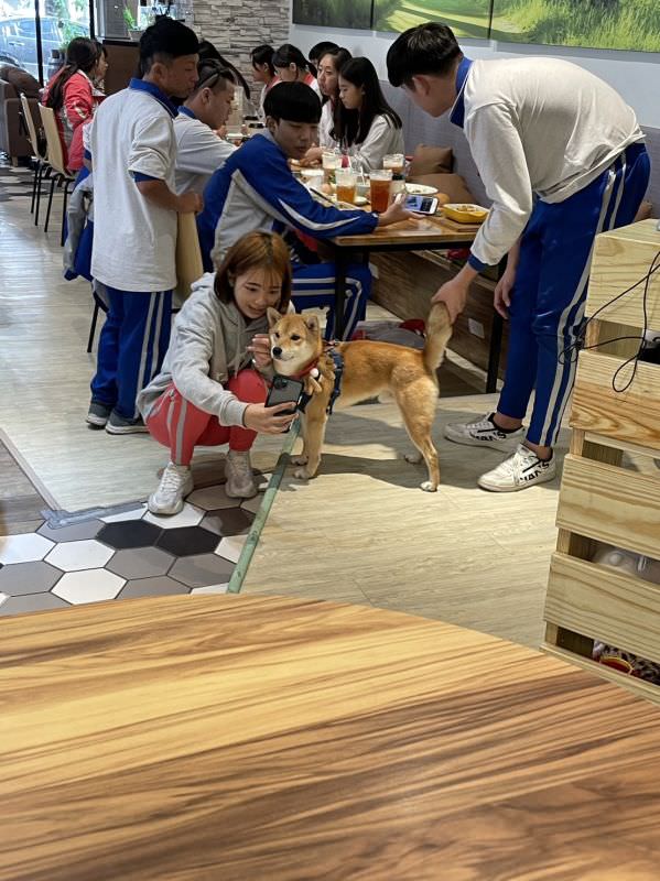 森林小徑精誠店对宠物超友善